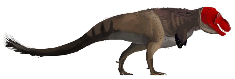 Reconstrucción de un dinosaurio adulto basada en el especímen AMNH 5027. Ilustración: Matt Martyniuk